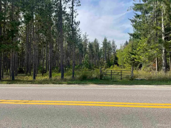 TBD M94, Manistique, MI 49854