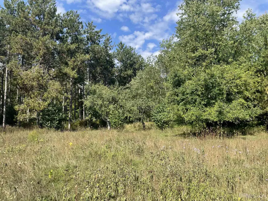TBD M94, Manistique, MI 49854 - #2