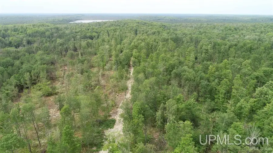 Camp 23, Germfask, MI 49836 - #3