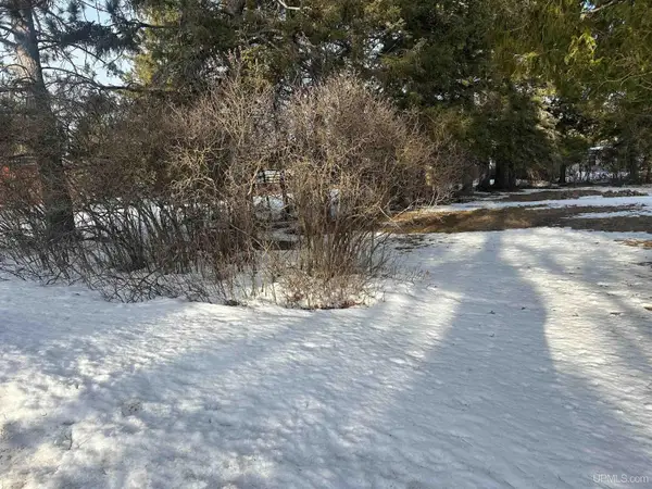 TBD Adams, Crystal Falls, MI 49920