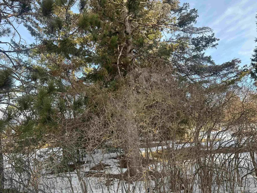 TBD Adams, Crystal Falls, MI 49920 - #3