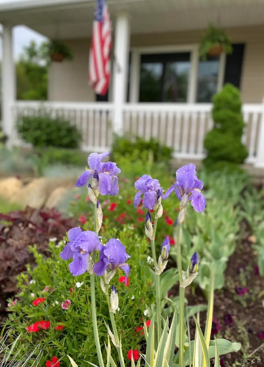 3114 Cobblestone, Tecumseh, MI 49286 - #2