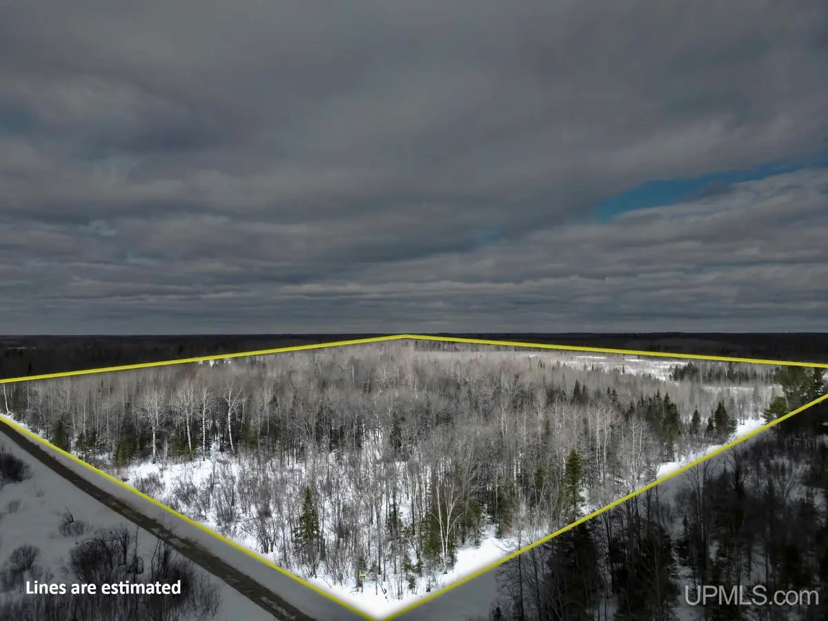 TBD N Rock 38th Rd Sw 40, Rock, MI 49880 - #1