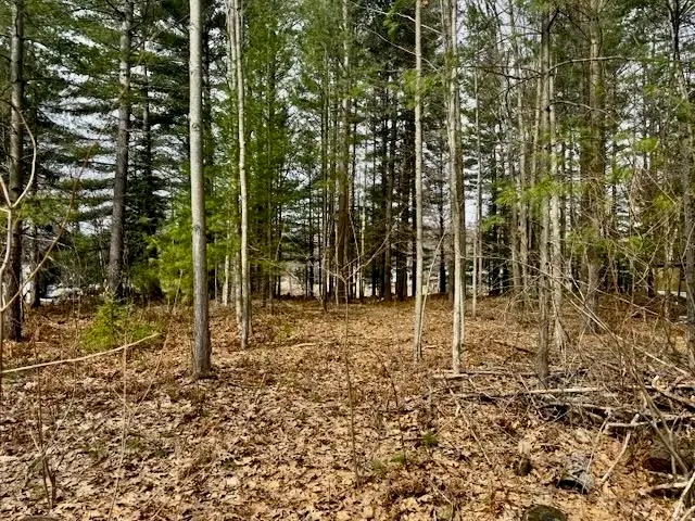 4535 River Lane, Alger, MI 48610 - #3