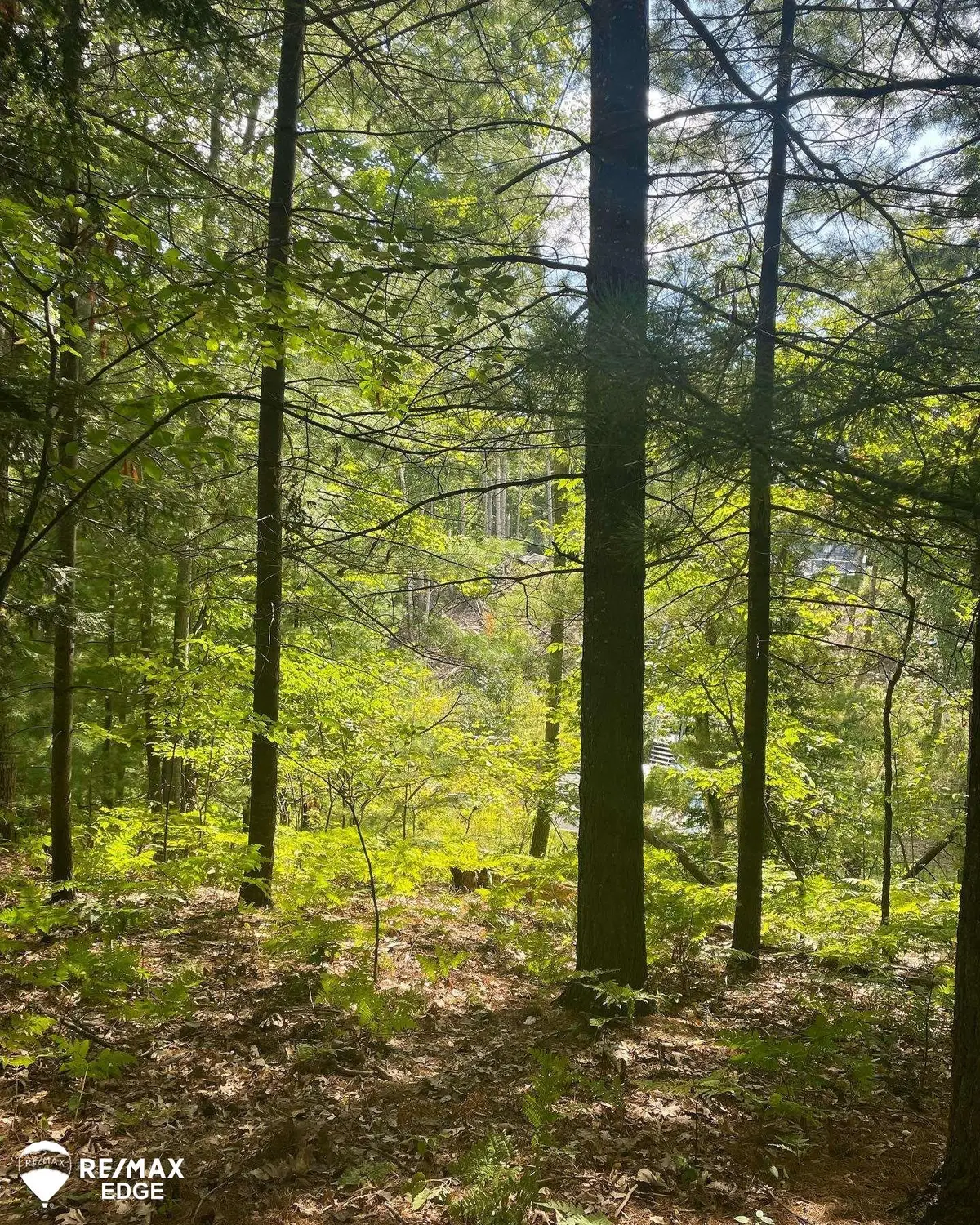 0 Eagle Nest, Alger, MI 48610 - #1