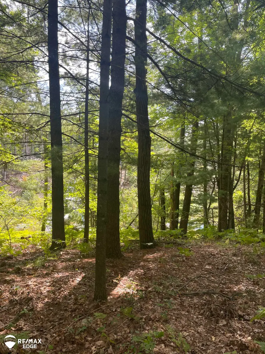 0 Eagle Nest, Alger, MI 48610 - #2