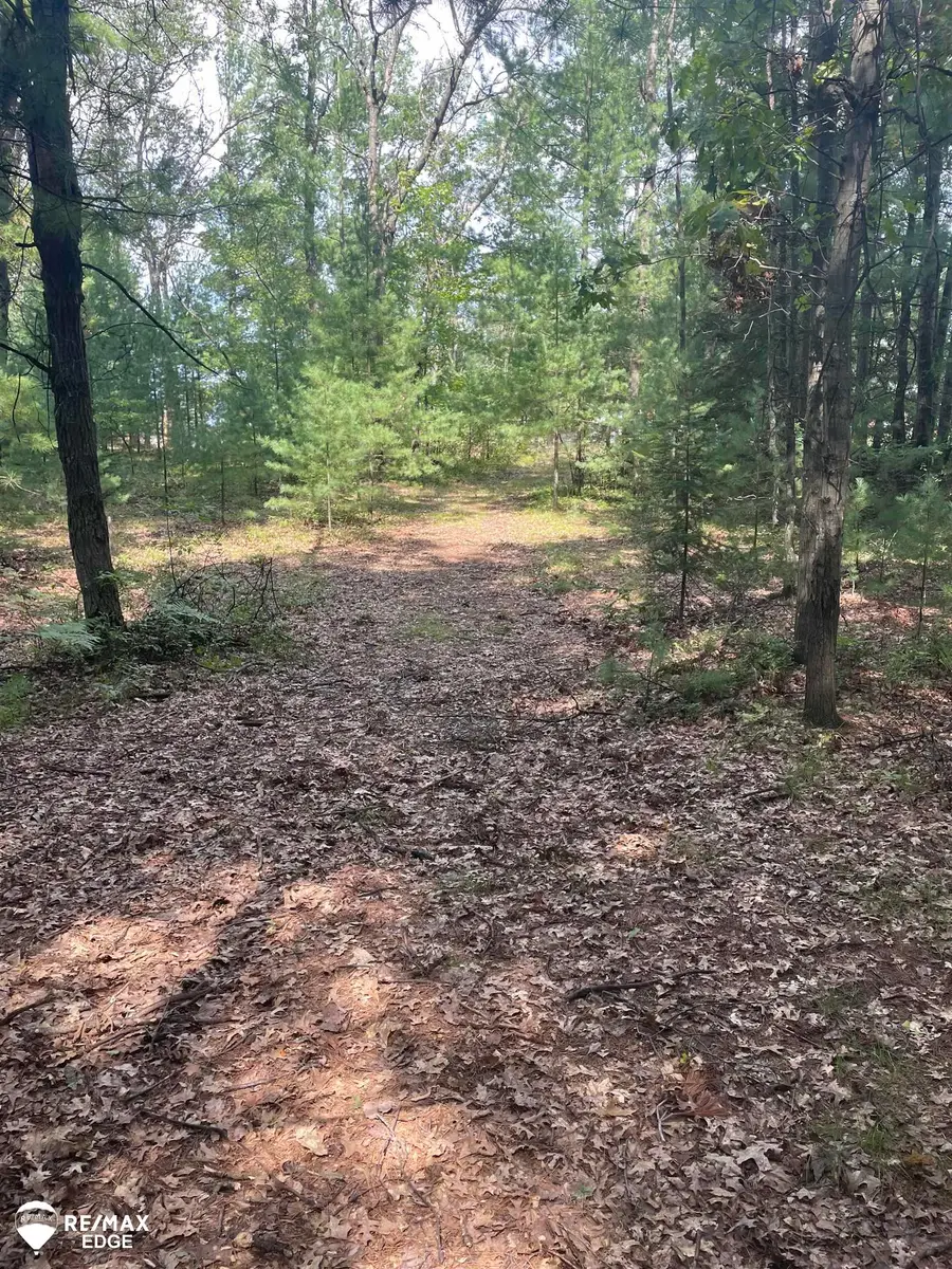0 Eagle Nest, Alger, MI 48610 - #3