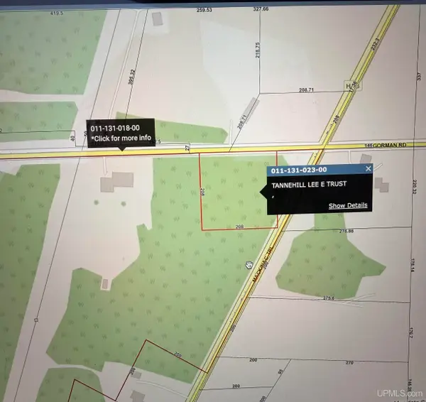 TBD Moran, Moran, MI 49760