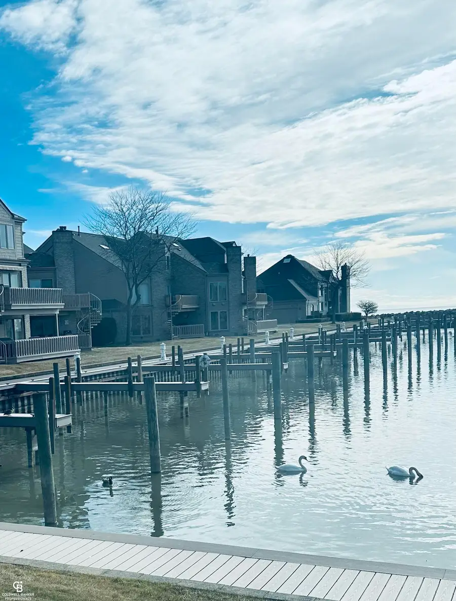 26301 Harbour Pointe Dr N, Harrison Township, MI 48045 - #3