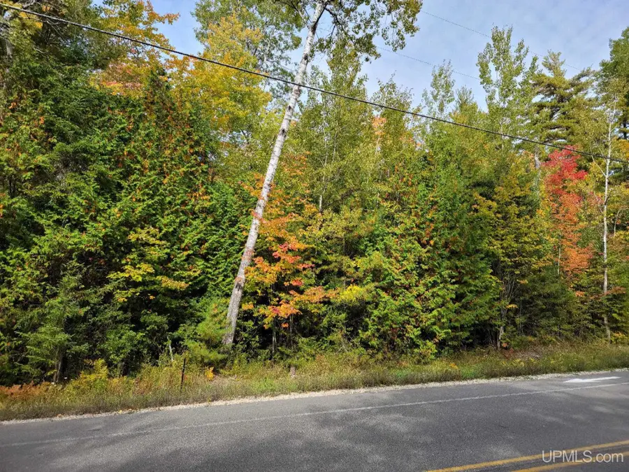 TBD Co Rd 441, Manistique, MI 49854 - #2