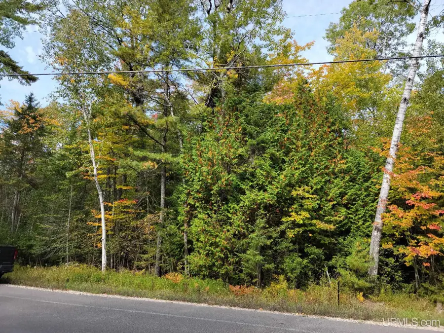 TBD Co Rd 441, Manistique, MI 49854 - #3