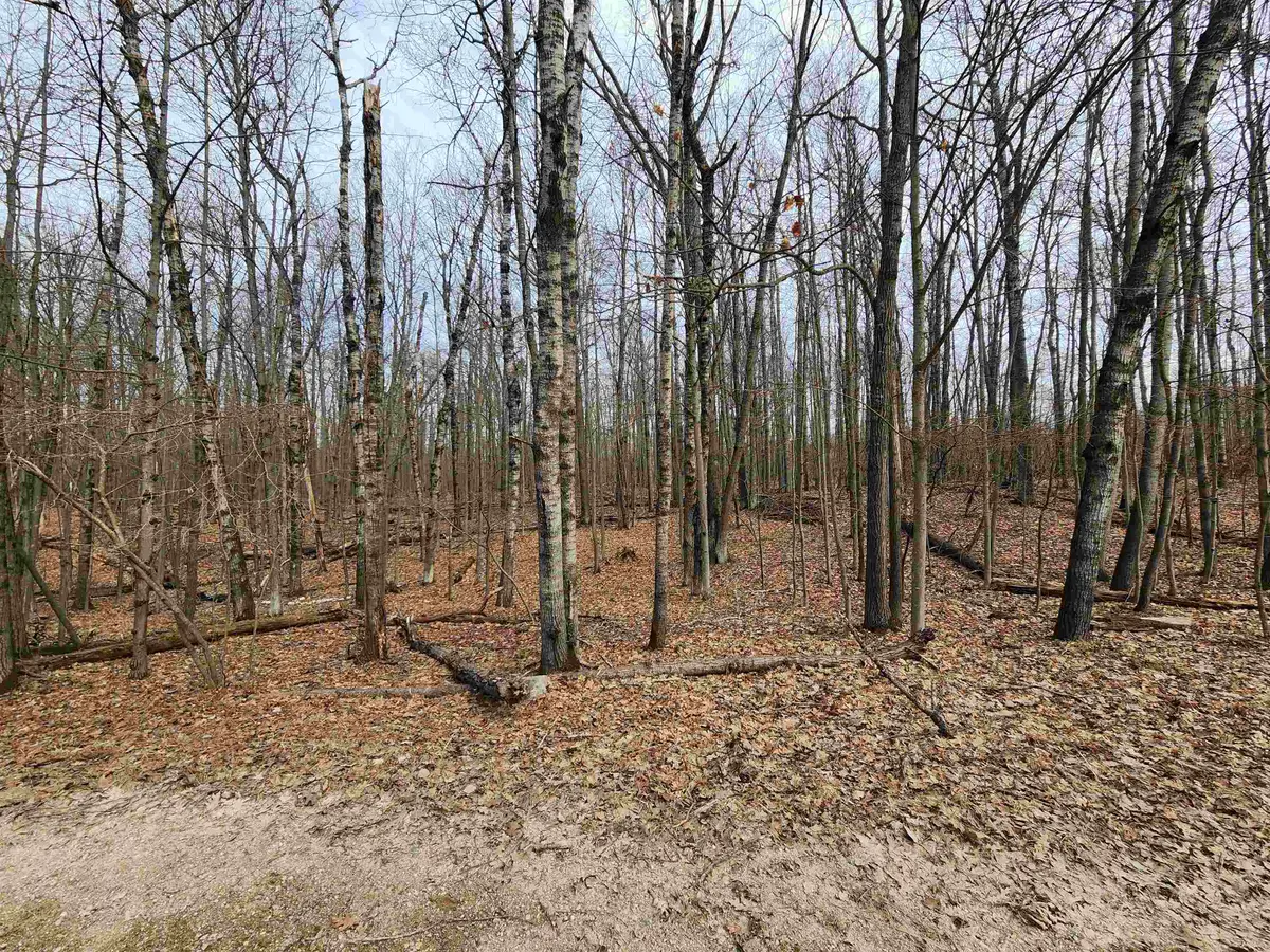 Lot 662 Laurel, Farwell, MI 48622 - #1