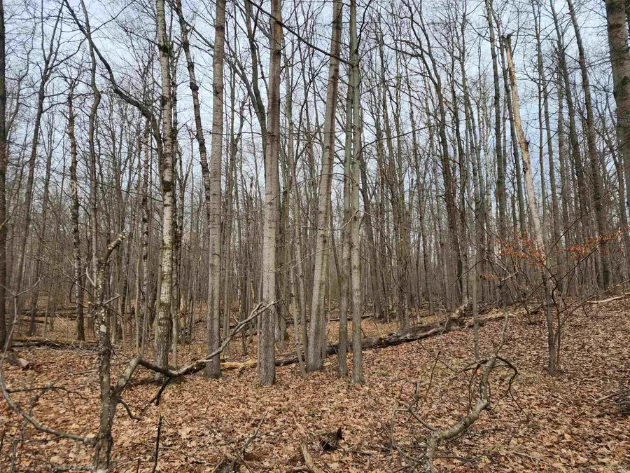 Lot 662 Laurel, Farwell, MI 48622 - #3
