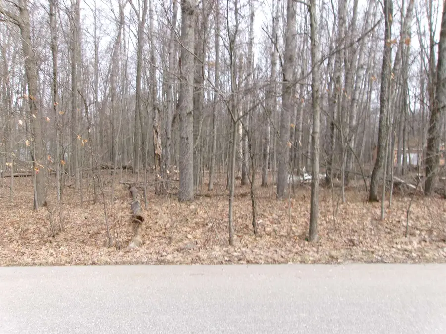 NHN Shadowbrook, Lake, MI 48632 - #2