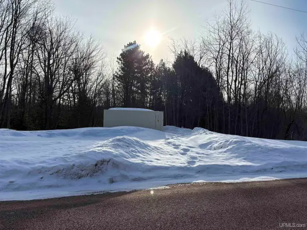 N County Road 545, Skandia, MI 49855