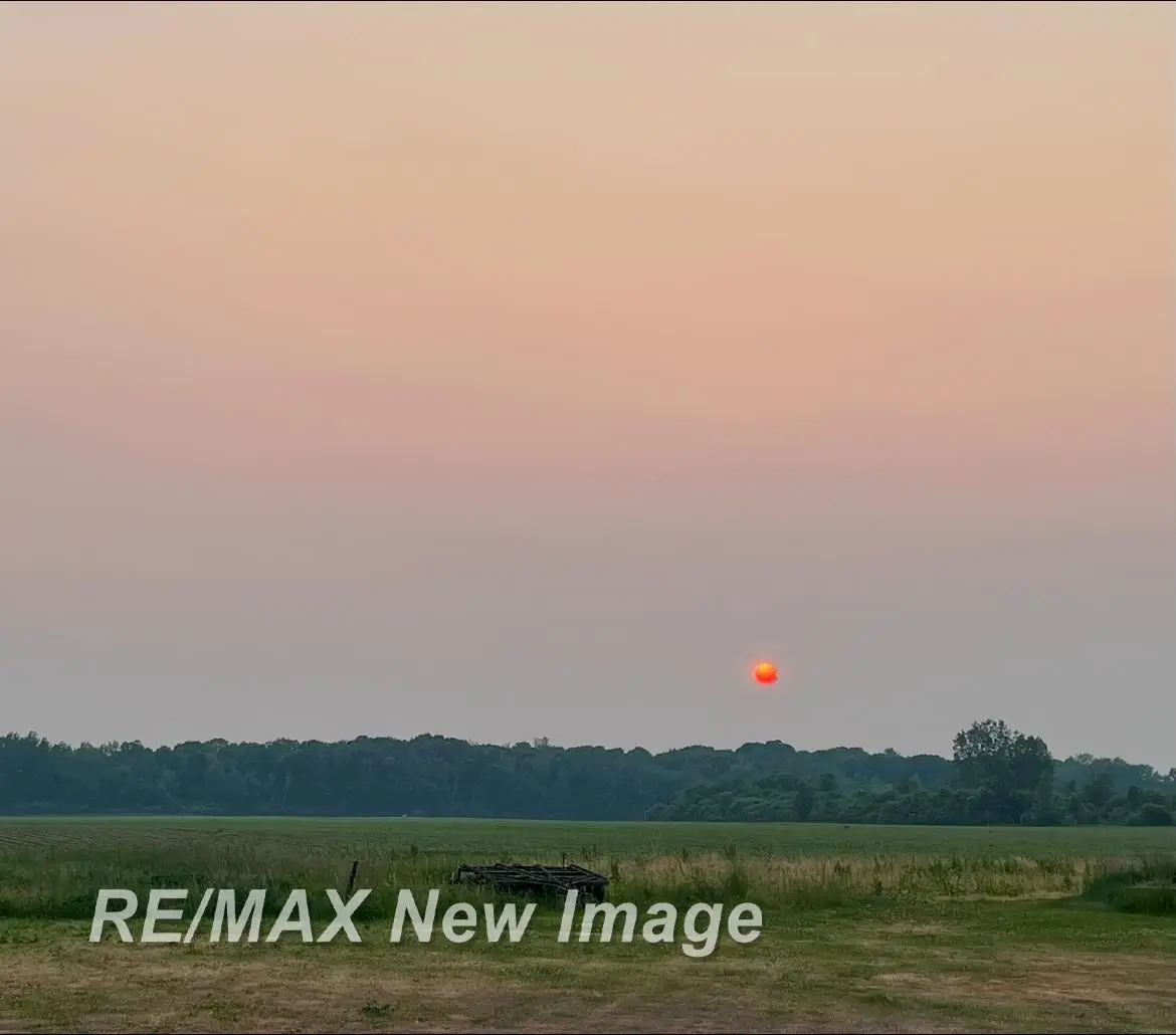 6385 Hospital, Freeland, MI 48623 - #1