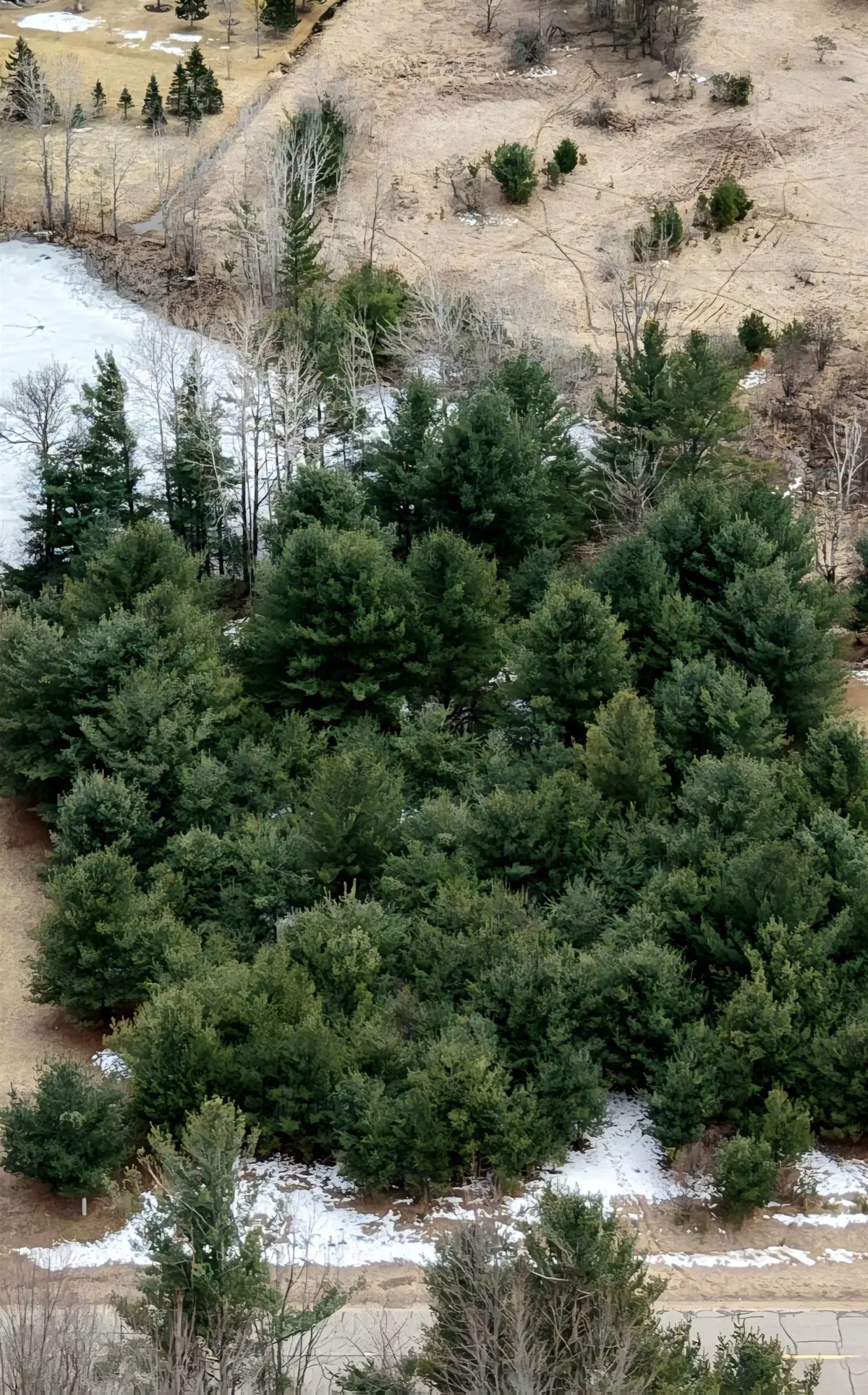 Lot 20 Queens, Gladwin, MI 48624 - #1