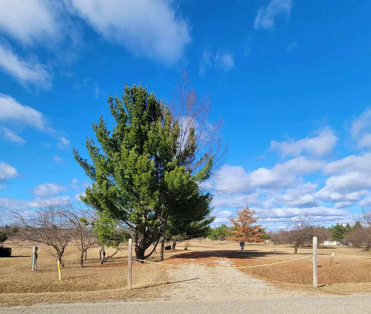 4415 Hamilton, Gladwin, MI 48624 - #1