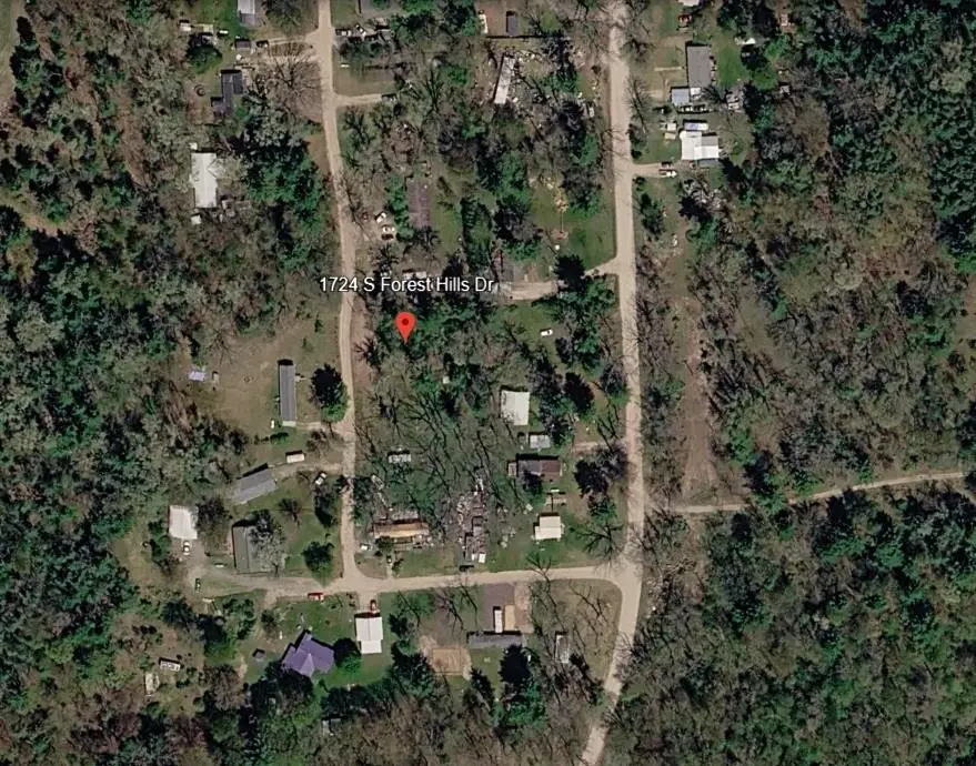 1724 S Forest Hills, White Cloud, MI 49349 - #2