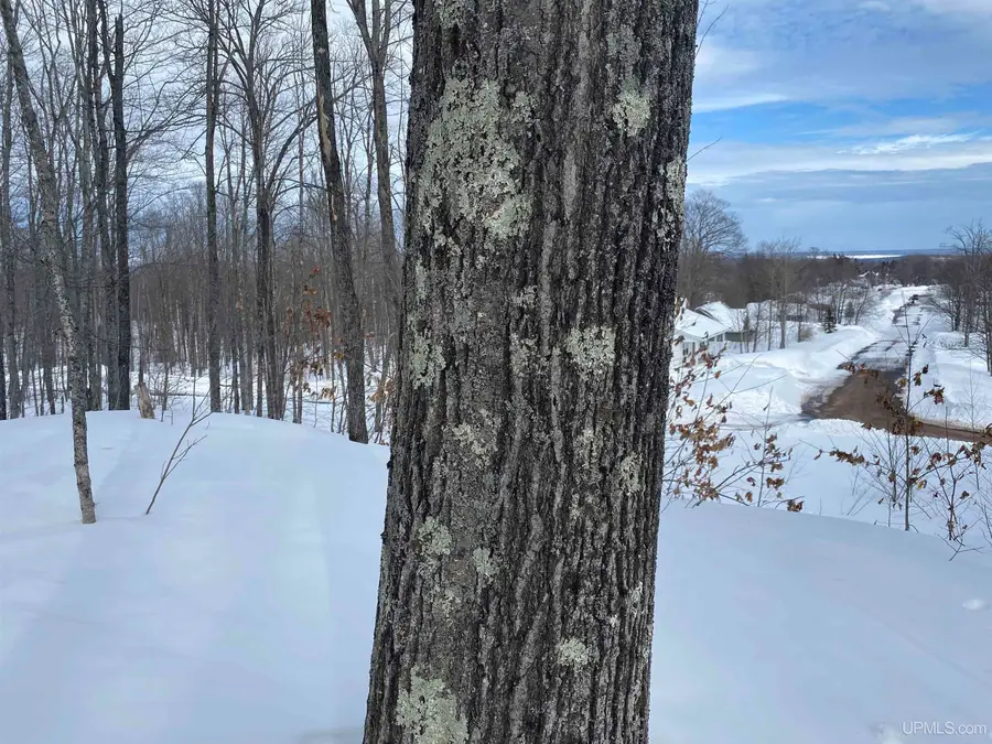 TBD Lot 23 S Whealkate, South Range, MI 49963 - #3