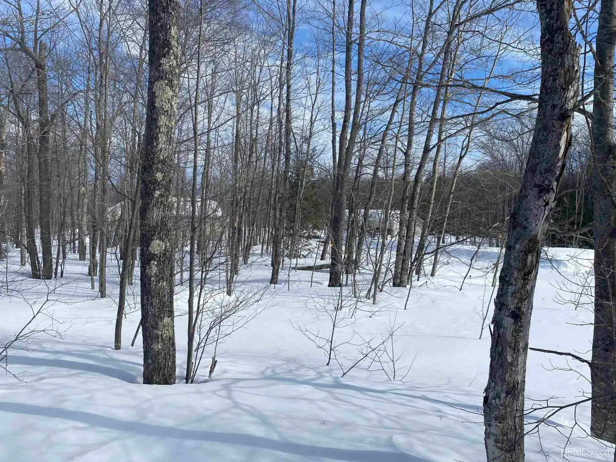 TBD Lot 27 S Whealkate, South Range, MI 49963 - #1