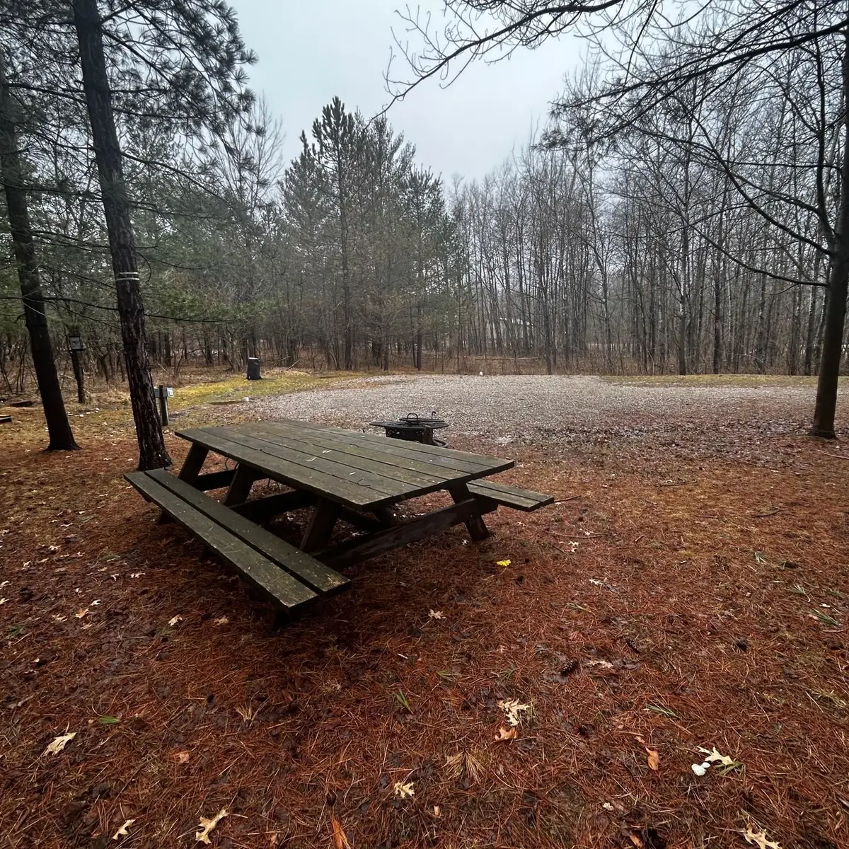 5316 Archers, Gladwin, MI 48624 - #1