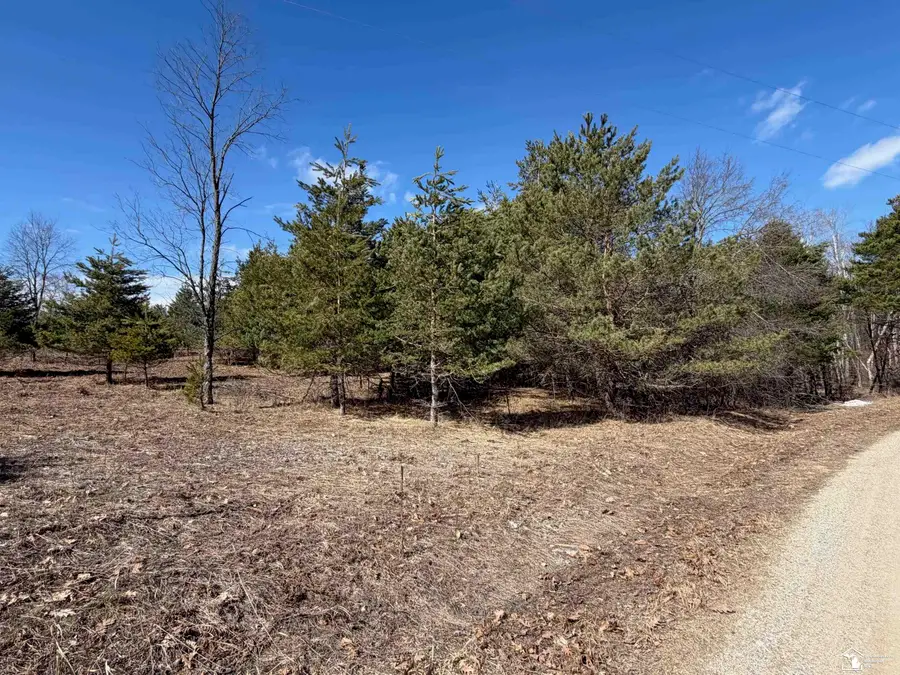VL Lot 184 Chippewa Trail, Evart, MI 49631 - #2