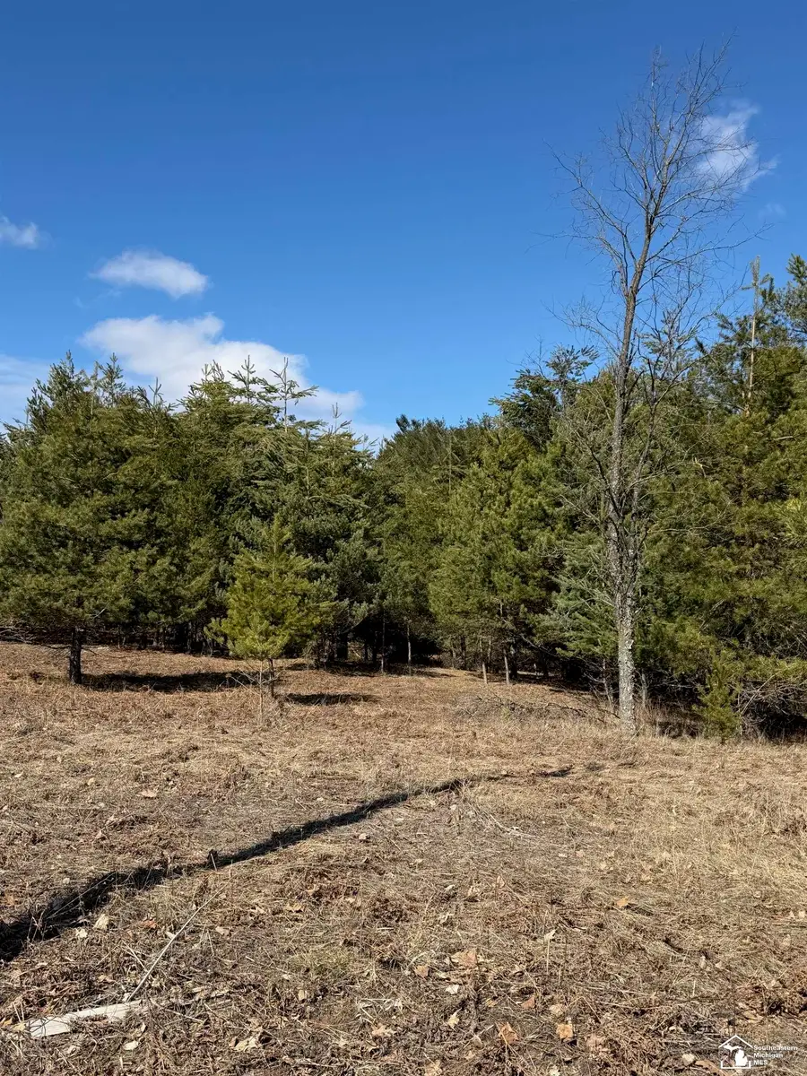 VL Lot 184 Chippewa Trail, Evart, MI 49631 - #3