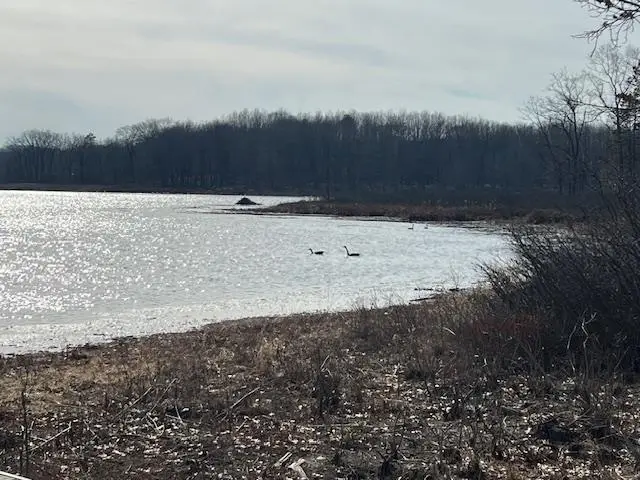 5775 S Bringold, Lake, MI 48632 - #3