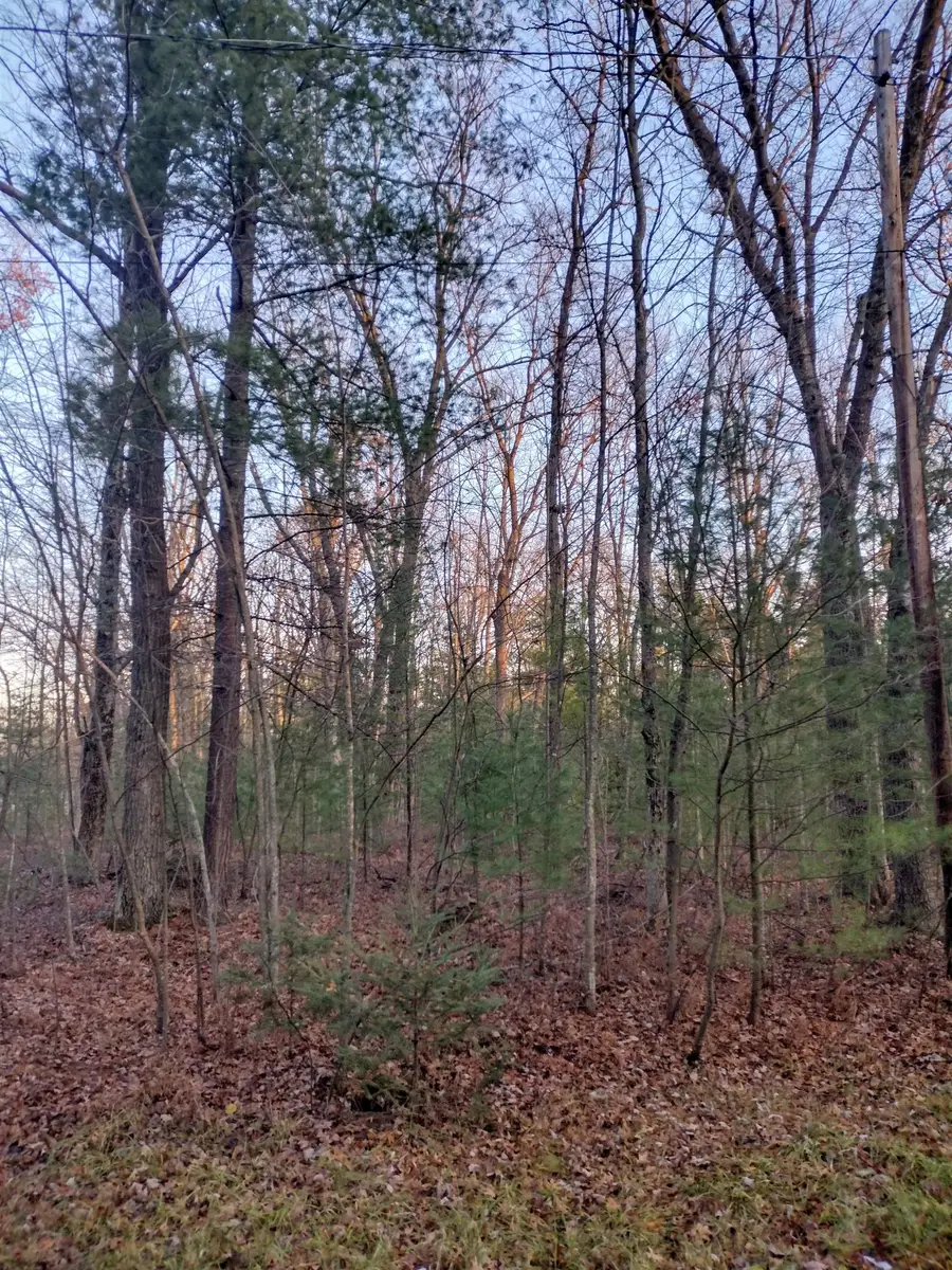 XX Beals, Prescott, MI 48756 - #2