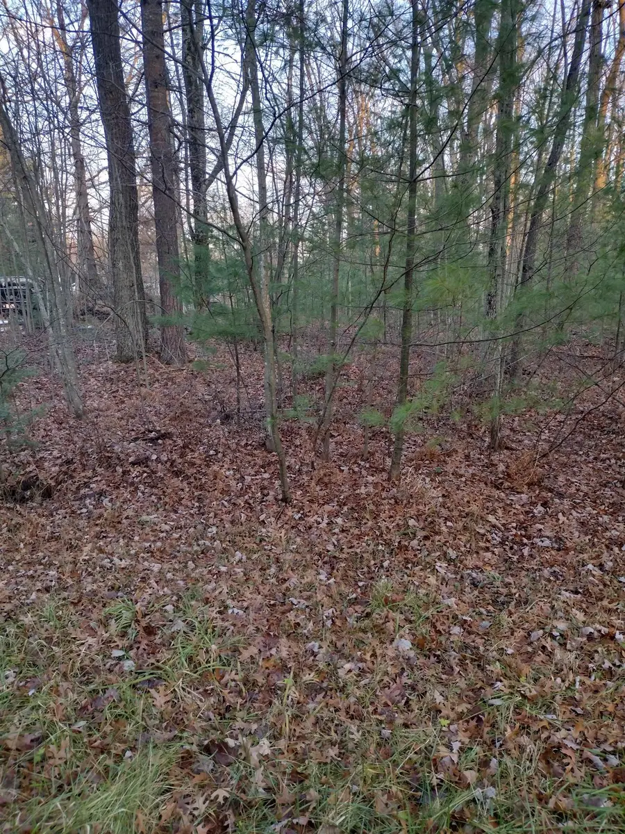 XX Beals, Prescott, MI 48756 - #3