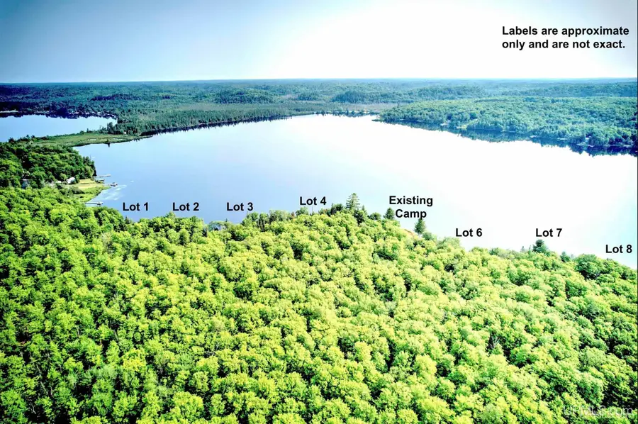 21415 Petticoat Lake, Michigamme, MI 49861 - #3