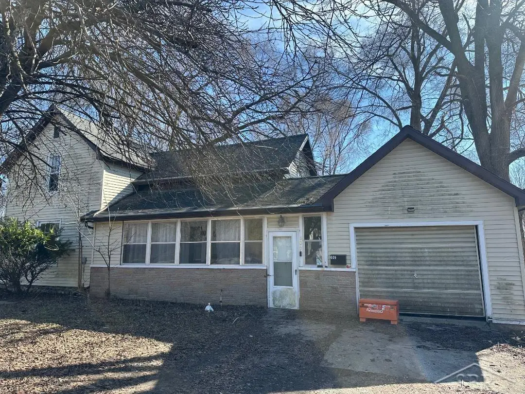 609 Olive, Saint Louis, MI 48880 - #1