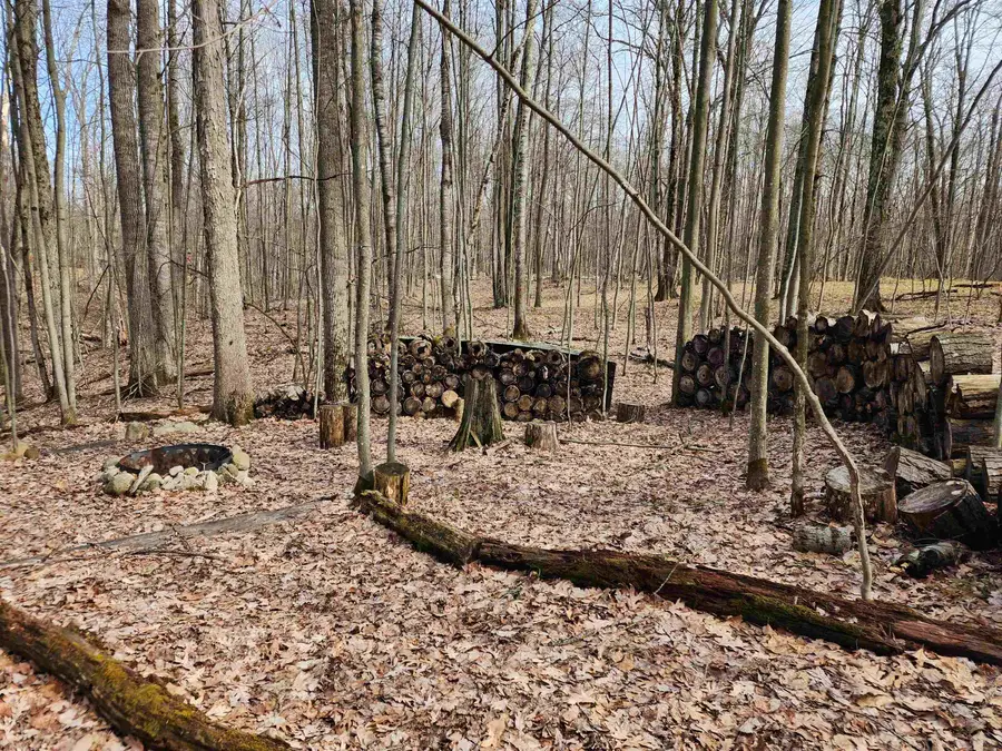 Lot 793 Elkhorn, Farwell, MI 48622 - #2