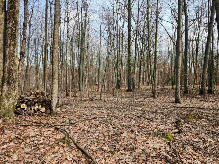 Lot 793 Elkhorn, Farwell, MI 48622 - #3