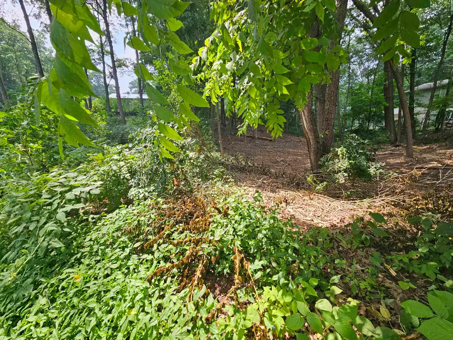 LOt 36 Lakeview, Harrison, MI 48625 - #2