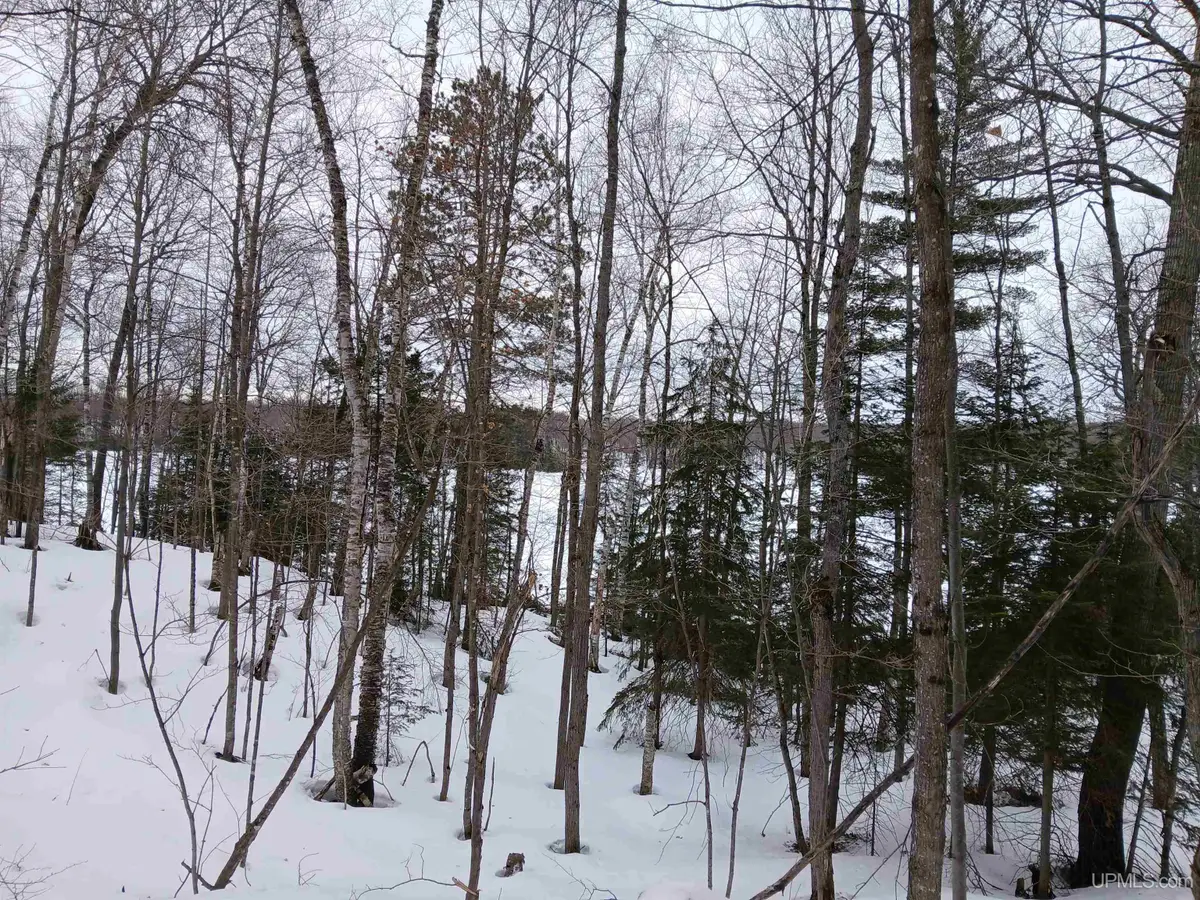 Lot 1 County Line Lake, Watersmeet, MI 49969 - #1