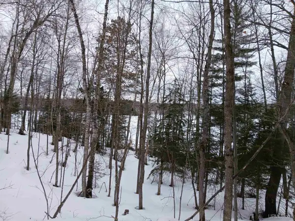 Lot 1 County Line Lake, Watersmeet, MI 49969