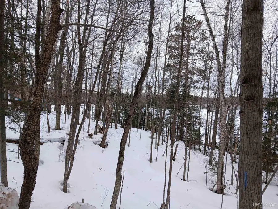 Lot 1 County Line Lake, Watersmeet, MI 49969 - #2