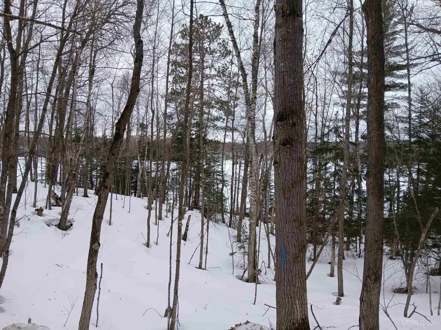 Lot 1 County Line Lake, Watersmeet, MI 49969 - #3