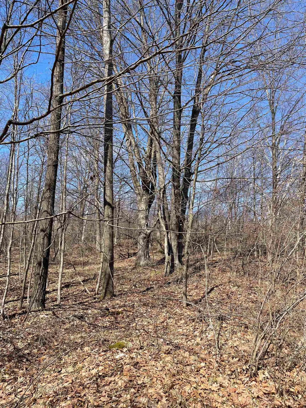 TBD Rock, Clare, MI 48617 - #1