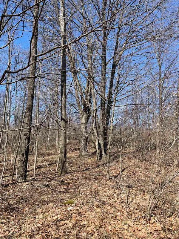 TBD Rock, Clare, MI 48617