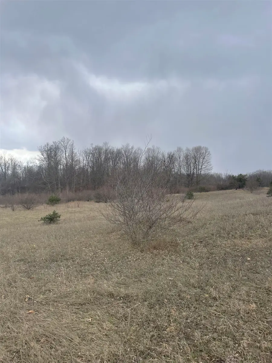 TBD Rock, Clare, MI 48617 - #2