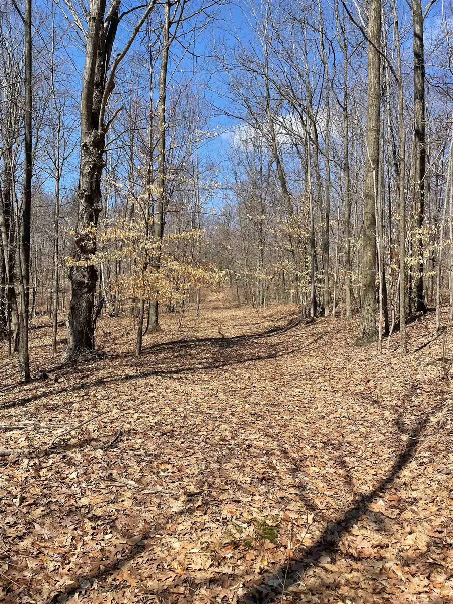 TBD Rock, Clare, MI 48617 - #3