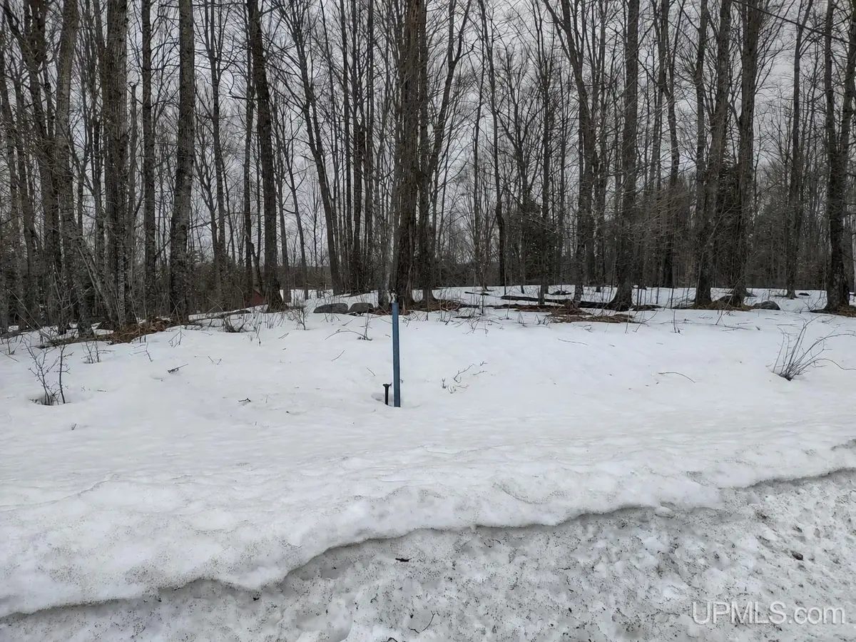 Lot G Wildwood, Iron River, MI 49935 - #1