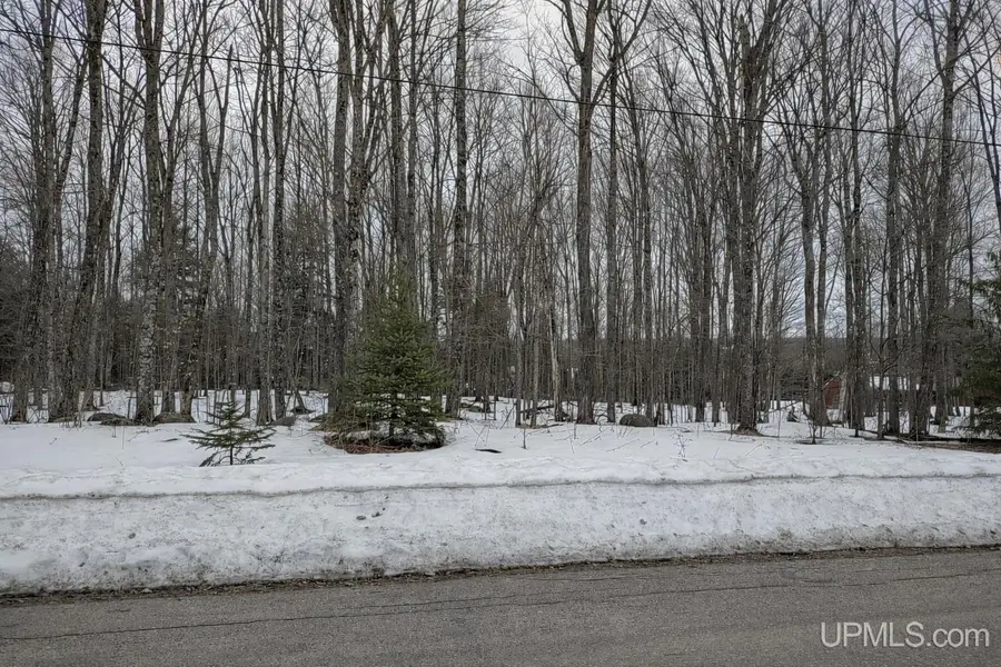Lot G Wildwood, Iron River, MI 49935 - #2