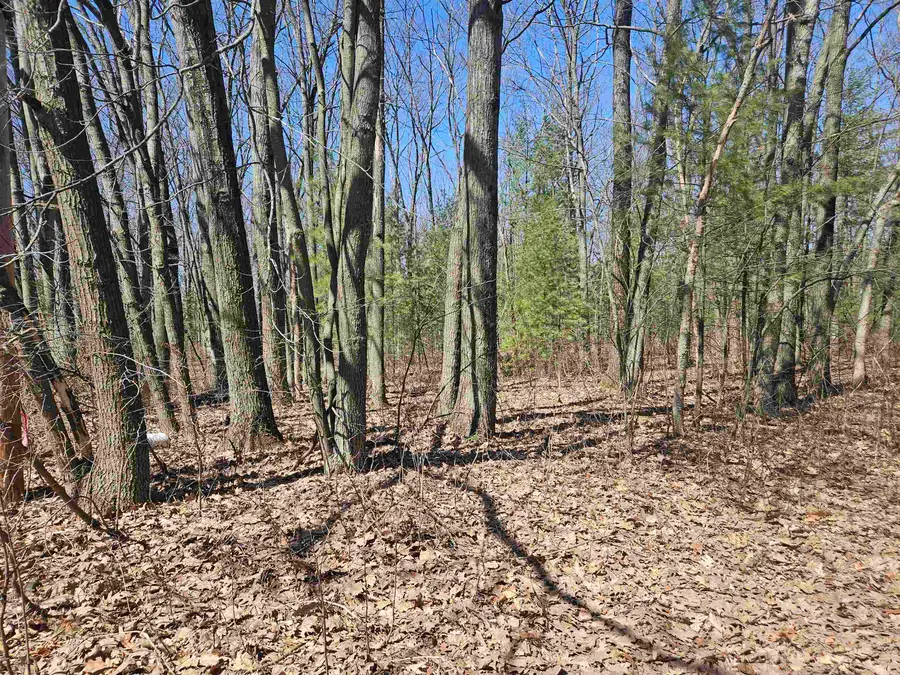 Parcel F Farwell, Harrison, MI 48625 - #2