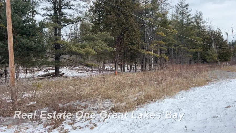 0 M-55, Tawas City, MI 48763 - #2