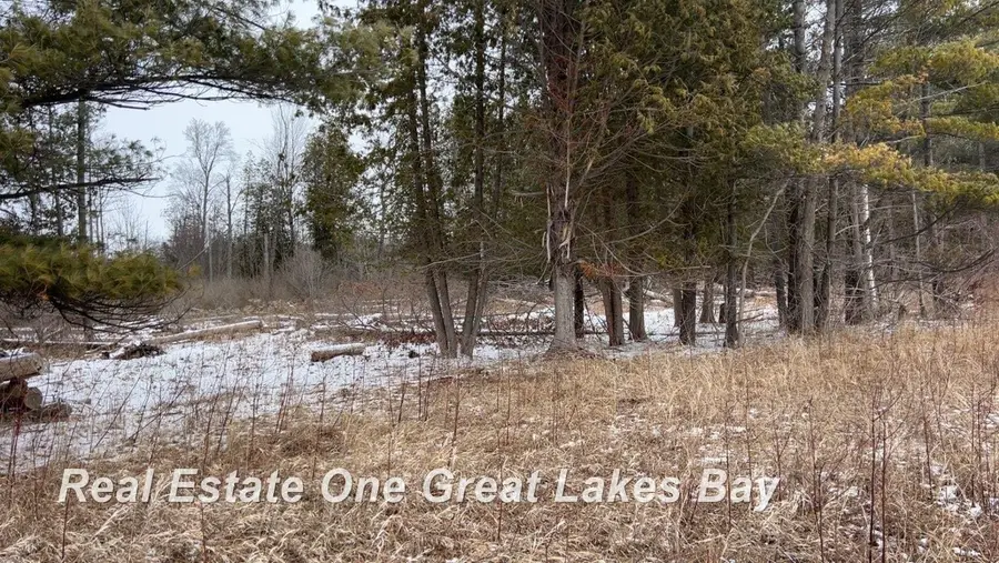 0 M-55, Tawas City, MI 48763 - #3