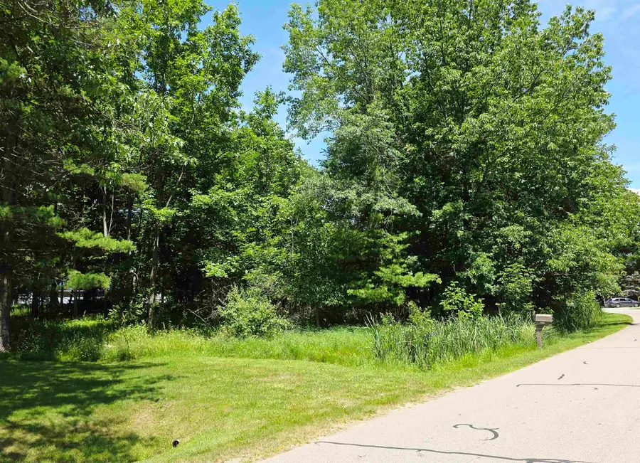 Lot 234 Kings, Gladwin, MI 48624 - #2